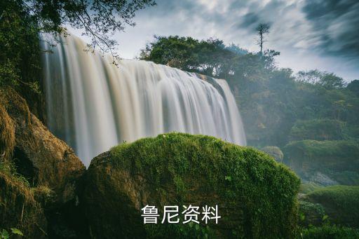 哪個賽季的魯尼手感,魯尼與德羅巴不同，他可以打全能前鋒