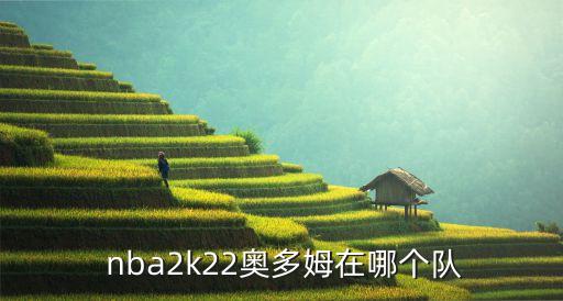 nba魔術(shù)師哪個隊,nba魔術(shù)師約翰遜還活著嗎?