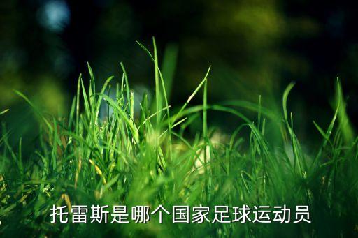  托雷斯是哪個國家足球運(yùn)動員