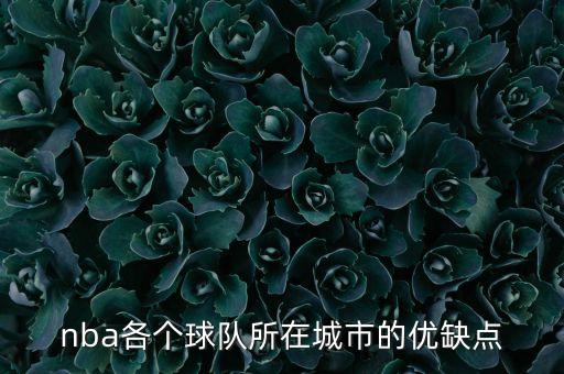 nba各個球隊所在城市的優(yōu)缺點