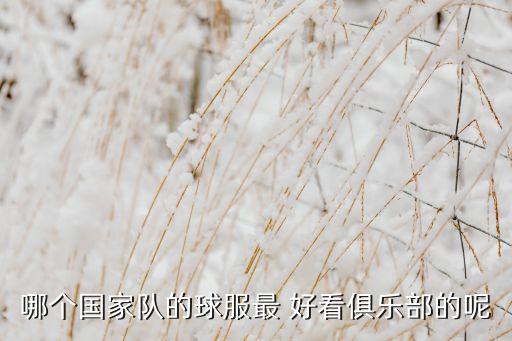 哪個(gè)國(guó)家隊(duì)的球服最 好看俱樂(lè)部的呢