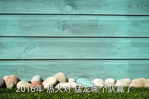 2016年 熱火對(duì) 猛龍哪個(gè)隊(duì)贏了