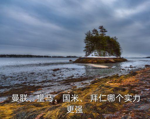  曼聯(lián)、皇馬、國米、 拜仁哪個實力更強