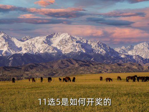 11選5哪個省在加獎,11代表一生和保持樂觀等等