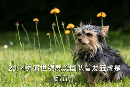 2014男籃世錦賽美國(guó)隊(duì)首發(fā)五虎是哪五個(gè)