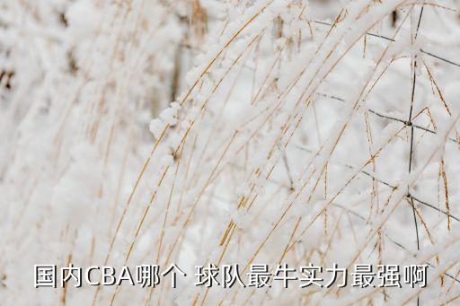 測試氣質(zhì)和哪個(gè)球隊(duì)最,我國30個(gè)球隊(duì)都有老板和球隊(duì)領(lǐng)袖
