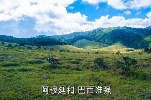  阿根廷和 巴西誰(shuí)強(qiáng)