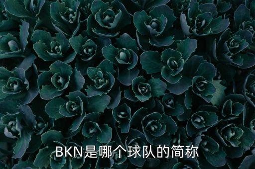 brooklyn是哪個(gè)隊(duì),馬布里曾效力于nba新澤西籃網(wǎng)隊(duì)