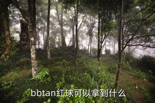bbtan哪個(gè)球最好,我國(guó)男子高爾夫球男隊(duì)摘金銀銅獎(jiǎng)