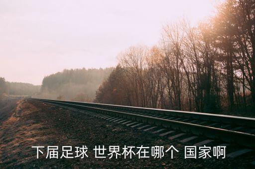  下屆足球 世界杯在哪個 國家啊