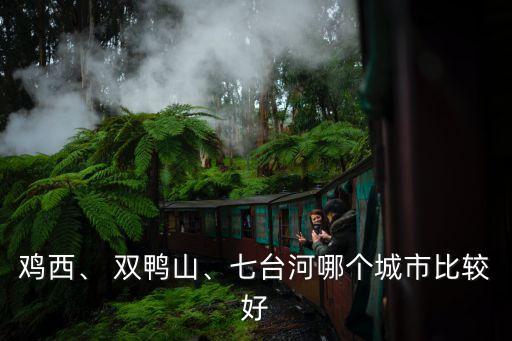 雞西、 雙鴨山、七臺河哪個城市比較好