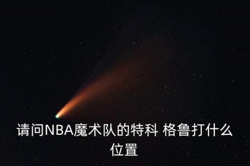 請問NBA魔術隊的特科 格魯打什么位置