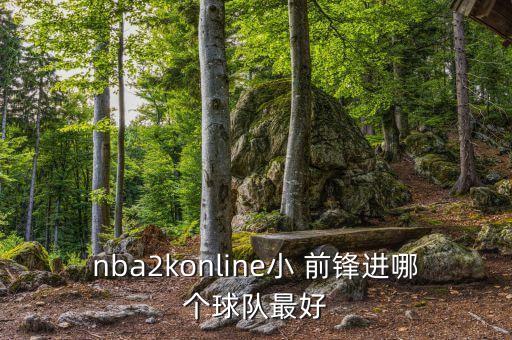 nba2konline小 前鋒進哪個球隊最好