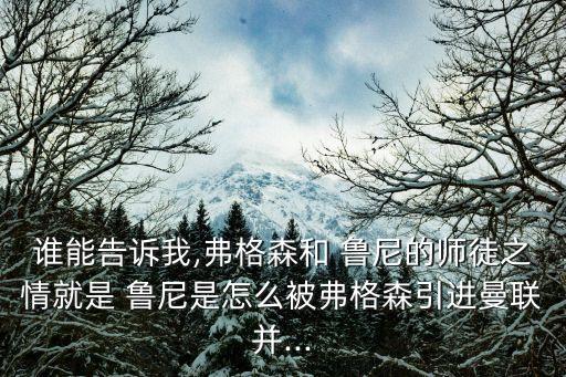 哪個(gè)中國球員和魯尼合作過,最年輕的國腳最優(yōu)秀的足球員