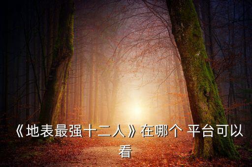 《地表最強十二人》在哪個 平臺可以看