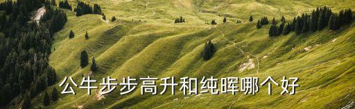 公牛 突破 哪個好,像突破soc2采用優(yōu)質芯片和銅線制造