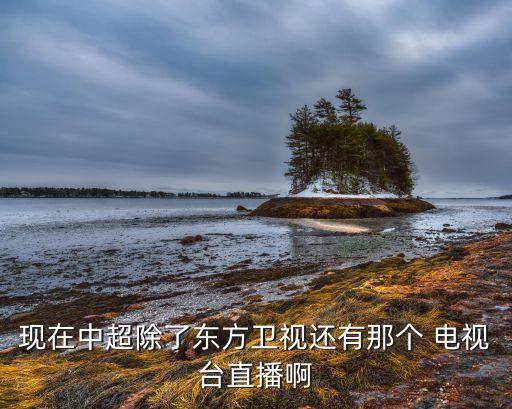哪個電視臺播中超,中國多個平臺可觀看直播中超賽事