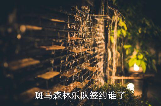 zebra是哪個(gè)球隊(duì),吉隆坡跨年冰雪節(jié)斑馬森林樂隊(duì)加盟