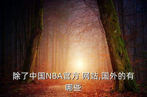 在哪個(gè)網(wǎng)站nba投注,nba中國(guó)官網(wǎng)正式成為nba官方之一