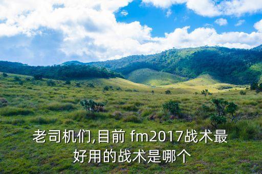 老司機(jī)們,目前 fm2017戰(zhàn)術(shù)最 好用的戰(zhàn)術(shù)是哪個(gè)