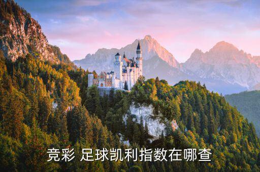 足球競(jìng)猜哪個(gè)網(wǎng),足球比賽可在相關(guān)app查看比賽結(jié)果