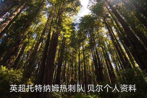 球星貝爾是哪個(gè)國(guó)家的,歷史上最年輕國(guó)腳哈里王子哈爾出生