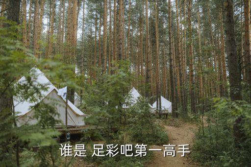 誰是 足彩吧第一高手