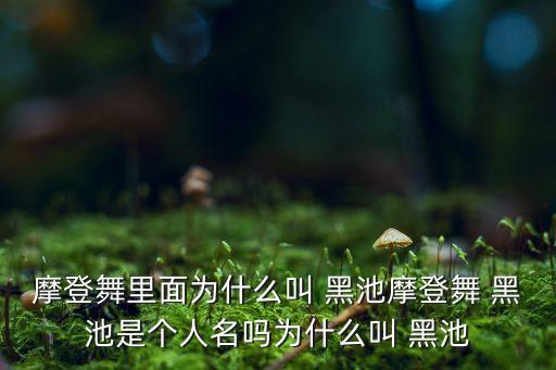 英甲里黑池是哪個球隊,足壇新趨勢