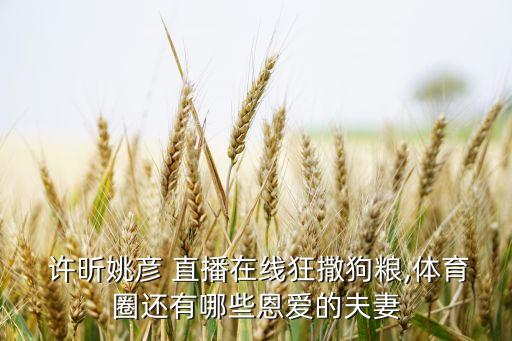  許昕姚彥 直播在線狂撒狗糧,體育圈還有哪些恩愛的夫妻