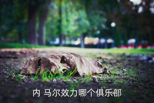 內(nèi) 馬爾效力哪個俱樂部