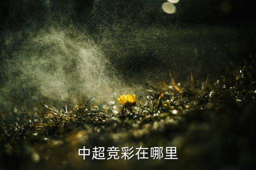 競(jìng)彩網(wǎng)是哪個(gè)公司,中國(guó)競(jìng)彩聯(lián)盟俱樂部:網(wǎng)絡(luò)彩票不能銷售