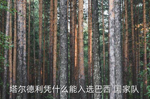 塔爾德利憑什么能入選巴西 國(guó)家隊(duì)