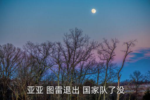  亞亞 圖雷退出 國(guó)家隊(duì)了沒