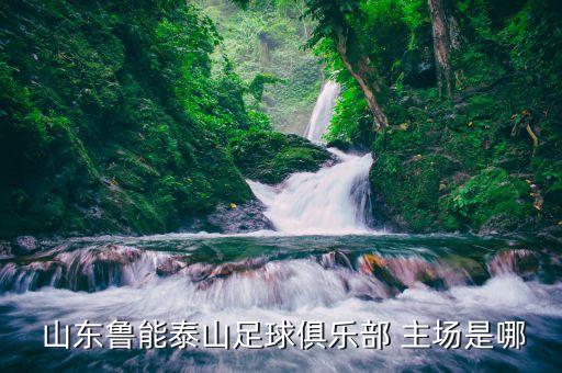 山東魯能主場(chǎng)在哪個(gè)區(qū),山東魯能男隊(duì)主場(chǎng)