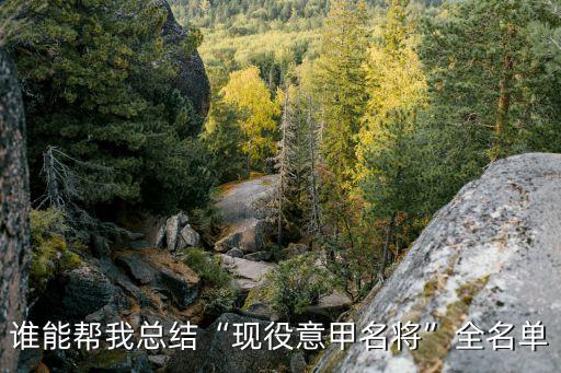 誰能幫我總結(jié)“現(xiàn)役意甲名將”全名單