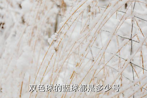 雙色球哪個(gè)是藍(lán)色球,紅色和藍(lán)色球號間隔-或