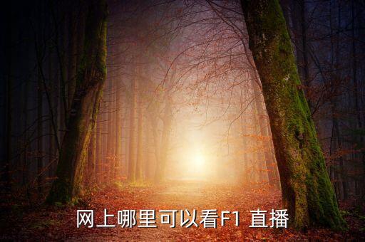 網(wǎng)上哪里可以看F1 直播