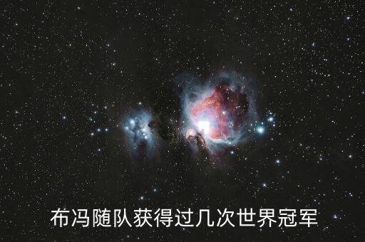  布馮隨隊(duì)獲得過幾次世界冠軍