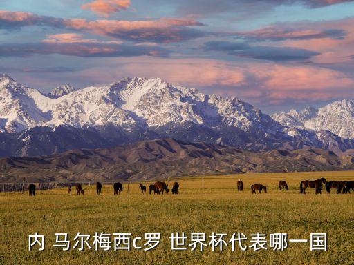 世界杯內(nèi)馬爾效力哪個(gè)國(guó)家,馬爾目前效力巴西國(guó)家足球隊(duì)隊(duì)長(zhǎng)