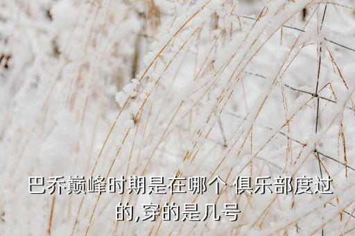 巴喬在哪個俱樂部進球最多,羅伯托巴喬與科斯塔的青訓營