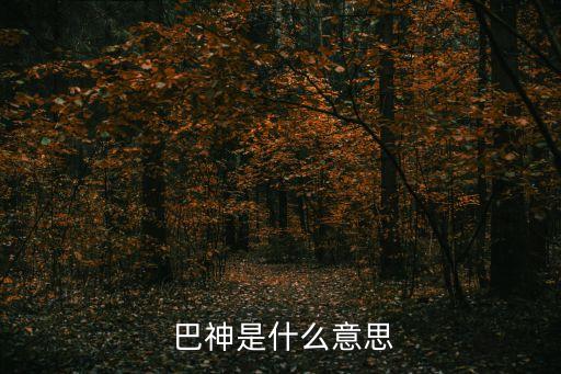 巴神是哪個(gè)球員,巴特爾的中國(guó)籃球生涯回顧