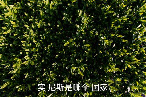 尼斯屬于哪個(gè)國(guó)家,歷史尼斯是德國(guó)養(yǎng)馬最成功地區(qū)之一!