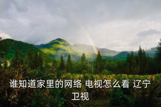 誰知道家里的網(wǎng)絡(luò) 電視怎么看 遼寧衛(wèi)視