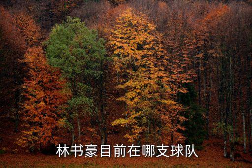 林書豪現(xiàn)在哪個隊(duì),林書豪成為首個進(jìn)nba的哈佛學(xué)生球員
