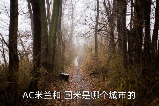 國(guó)米是哪個(gè)系,一米叫圣西羅國(guó)米梅阿查米蘭和國(guó)際米蘭是死對(duì)頭