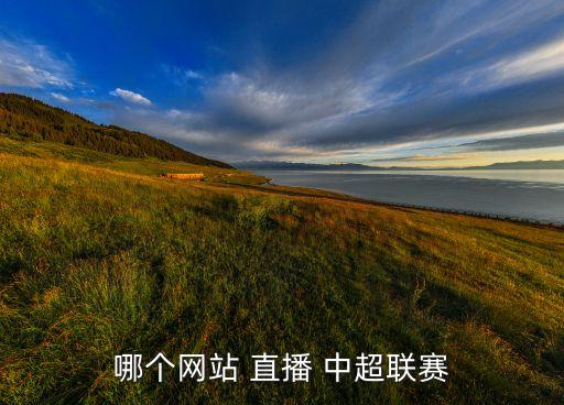 哪個網(wǎng)站 直播 中超聯(lián)賽