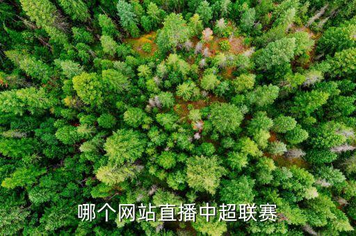 哪個(gè)網(wǎng)站直播中超聯(lián)賽