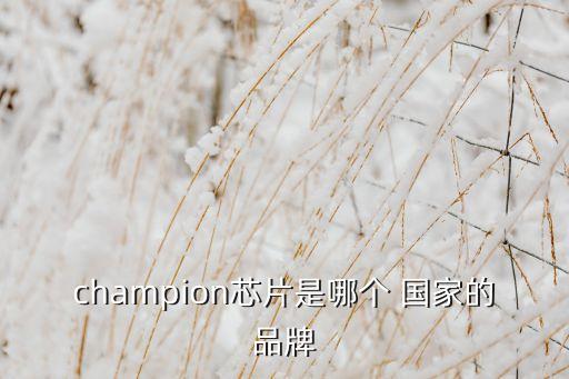 champion芯片是哪個 國家的品牌