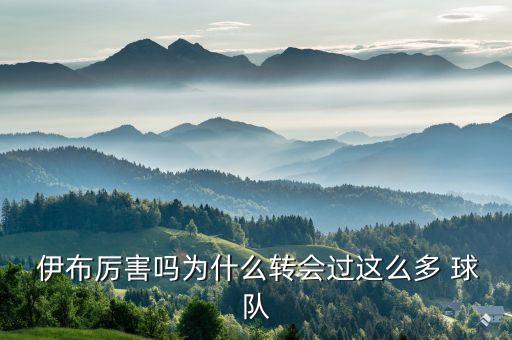 伊布去哪個球隊了,足壇消息:伊布不會再入選瑞典國家隊
