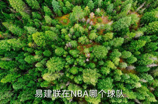 易建聯(lián)以前在哪個(gè)隊(duì)的,易建聯(lián)將代表中國參加全國比賽